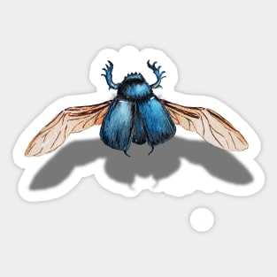 watercolor drawing of scarab beetle Sticker